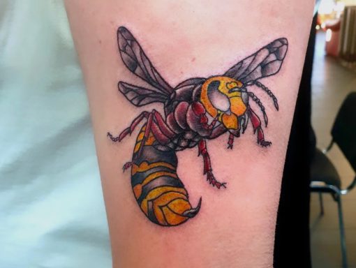 Wespe, colour Tattoo new school